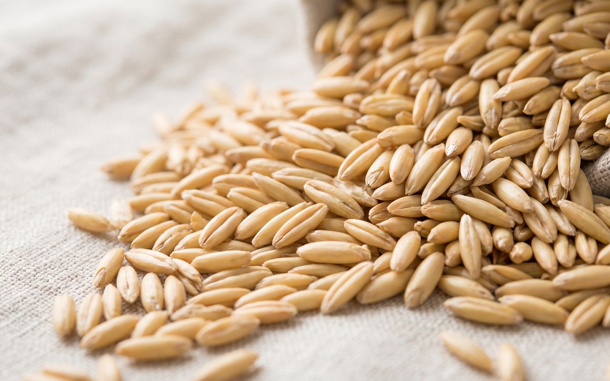 Pale golden oat groats spilling across a linen cloth